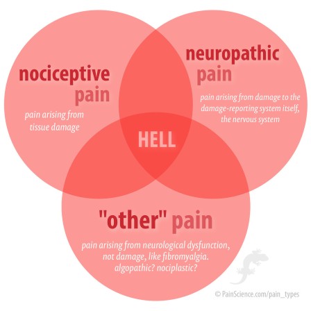 pain-types-venn-detailed-xxl